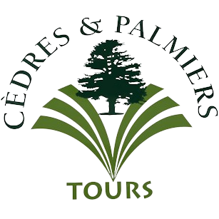 PANEL cedres et palmiers tours